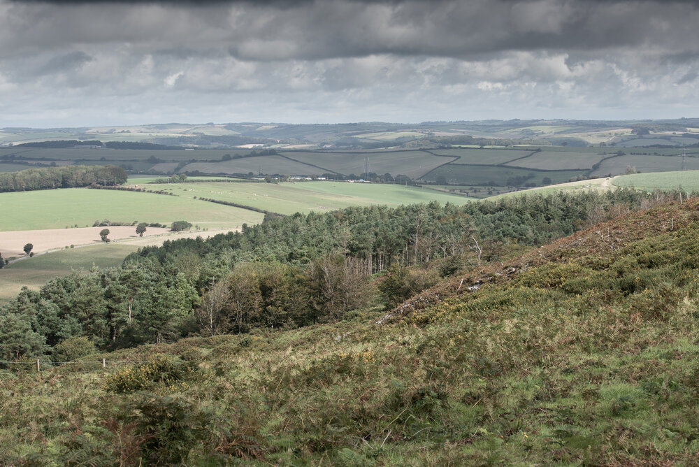 Heathland and forestry overlooking 'green desert' fields in the AONB