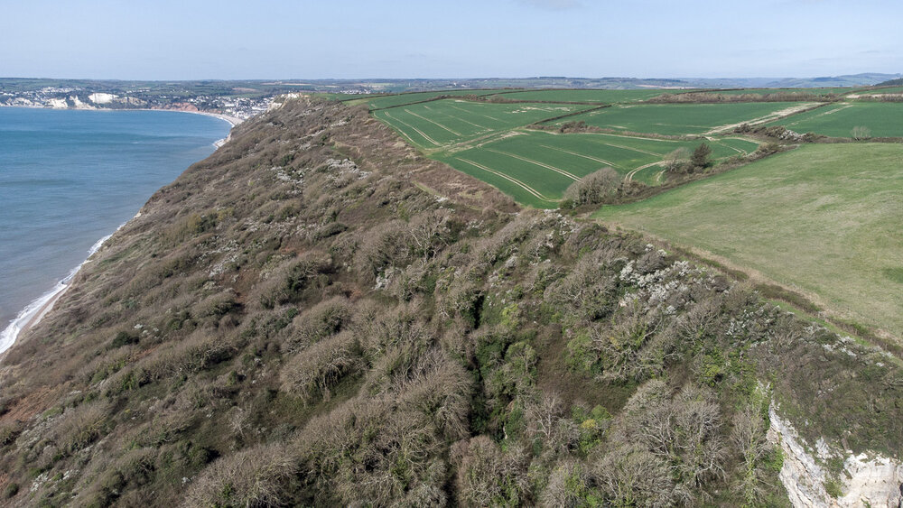 Intensive agriculture above Haven Cliff