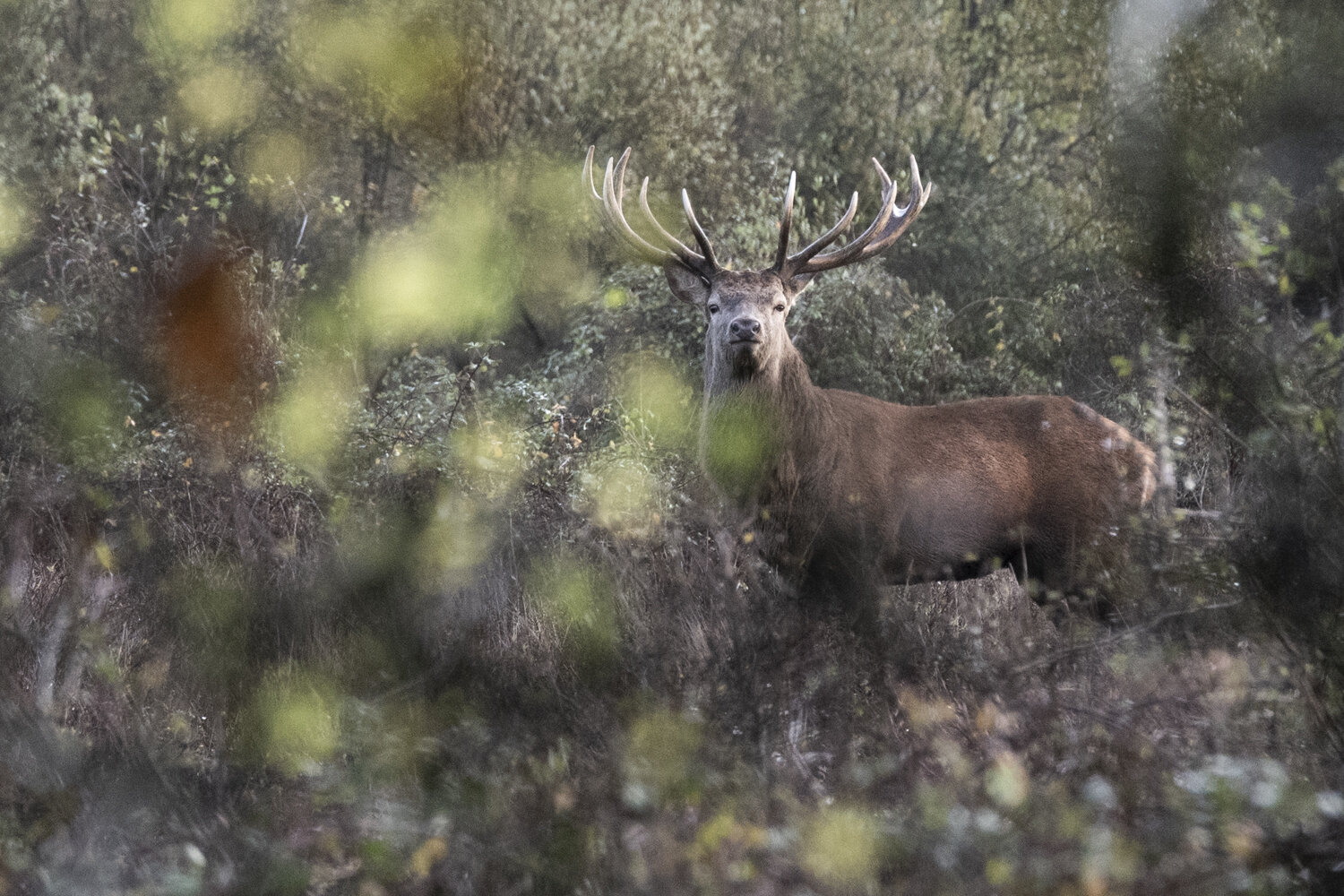 12 - MP1 Body of Work - 2595.jpg