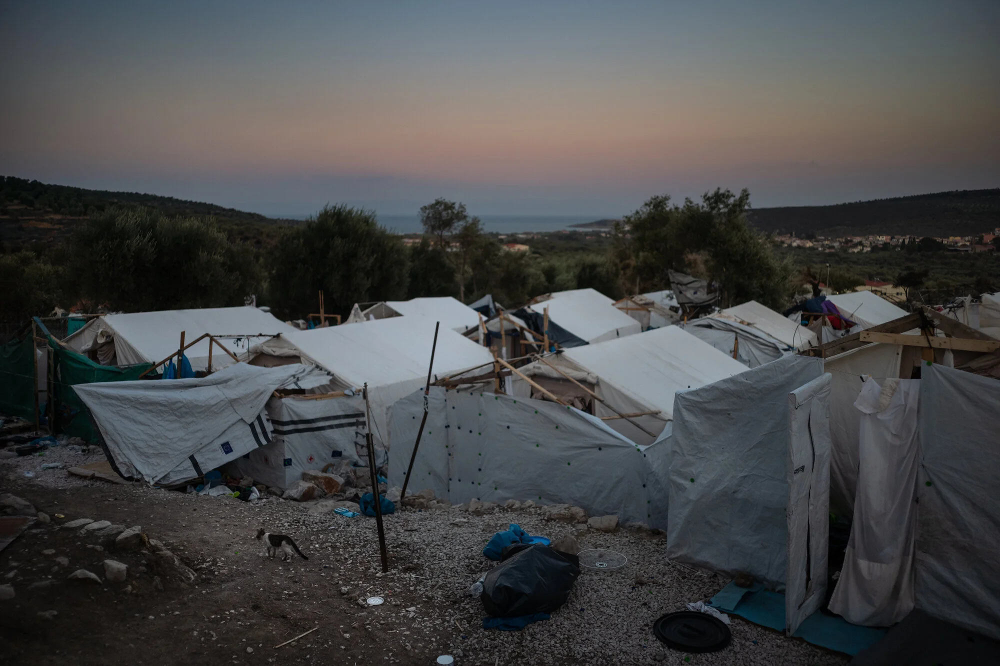  Moria Camp, Lesbos - 13/09/2020  A lone cat shoots away in the ruins of the camp. Many of the animals are injured and have almost no access to food. They are completely dependent on the migrants who feed and take care of them.     