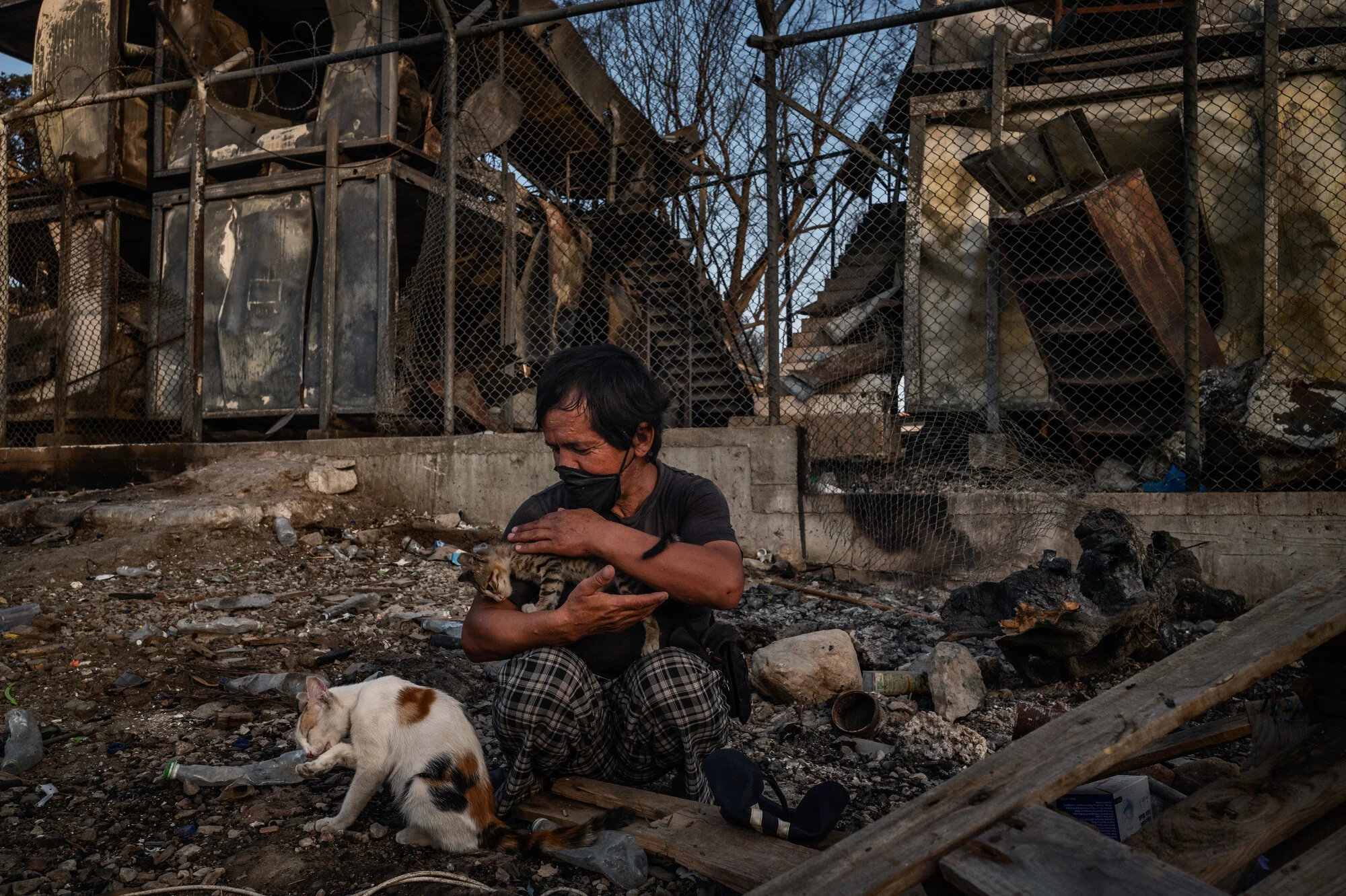  Moria Camp, Lesbos - 26/09/2020  Abdul Ali Akhlaghi (age 55) from Ghazni, Afghanistan is nurturing some of the cats and kittens in Camp Moria. After the fire, most asylum seekers flee to nearby streets, but a small group of migrants stays behind. Li