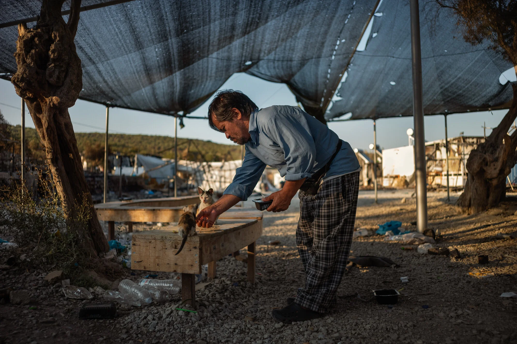  Moria Camp, Lesbos - 13/09/2020  Since that day, Akhlaghi feeds the homeless cats and kittens every morning and before he goes to bed at night. Why? Akhlaghi says: “We are humans, and they are animals, but we are the same. They need the same things 