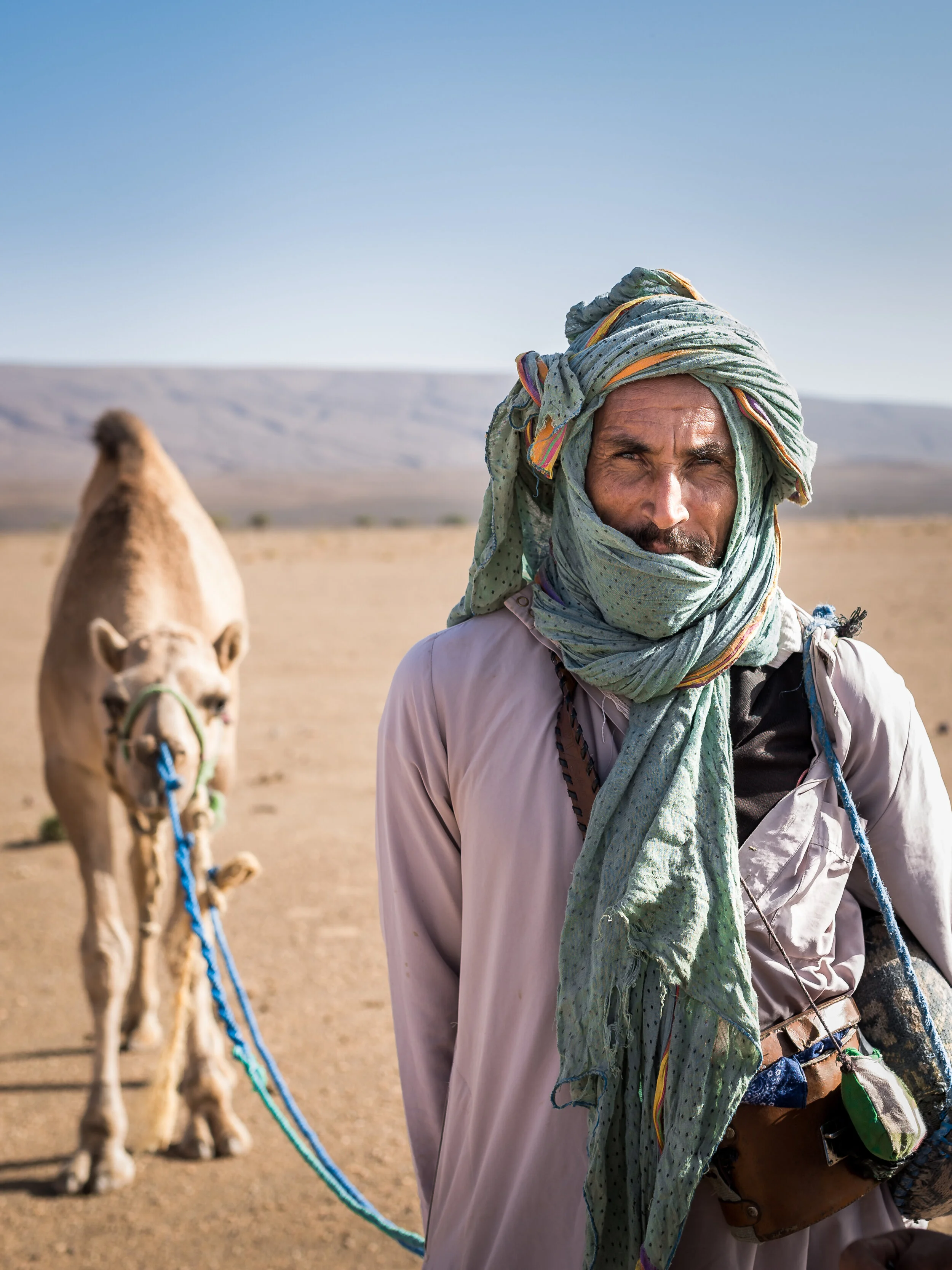  Foum Zguid, Morocco - 11/10/2017  A nomadic herder is grazing his pack of ten camels along the outskirts of the Sahara Desert. Where nomads used to herd over one hundred camels, only small packs are left now. This herder has about 10 camels left in 