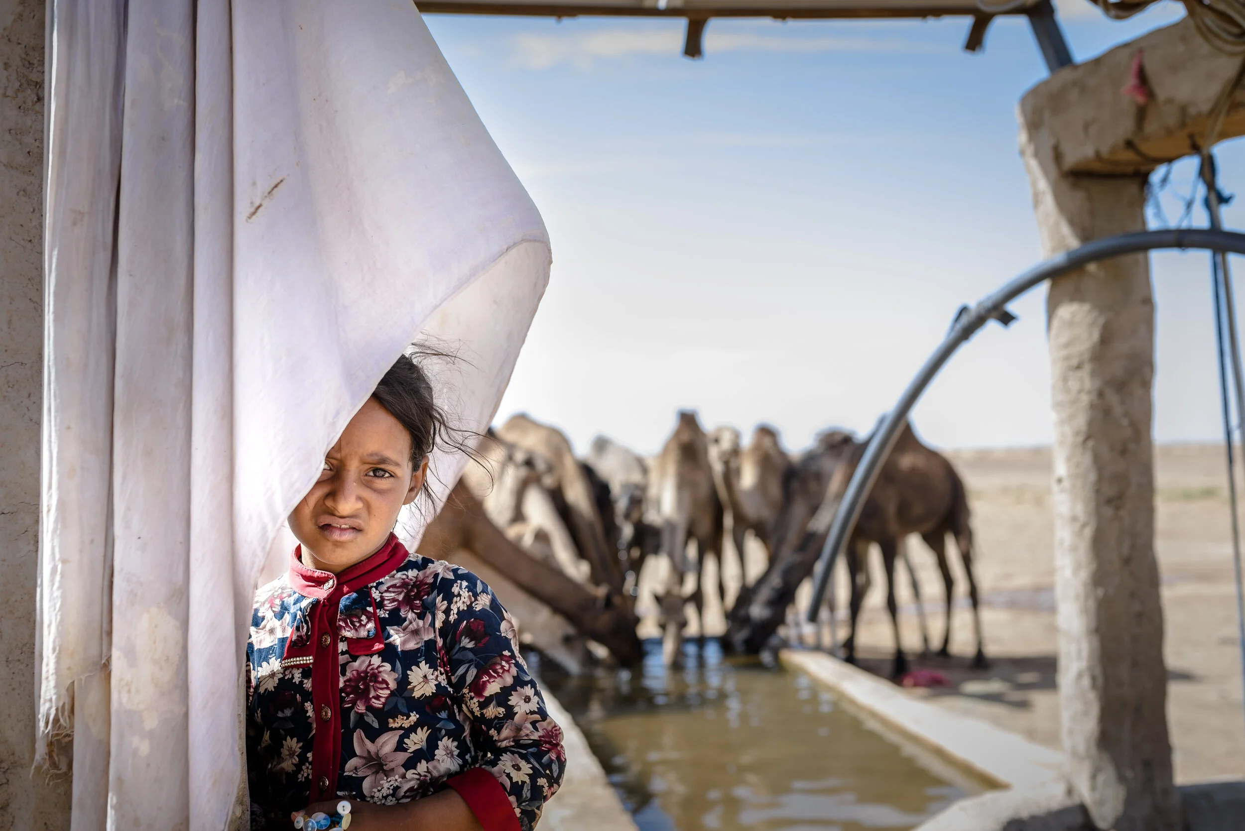  M’Hamid, Morocco - 11/10/2017  A girl from a nomadic tribe at a well on the outskirts of the Sahara Desert. The water from the well is too salinated for humans to drink or for plants to grow, but camels can still hydrate sufficiently through drinkin