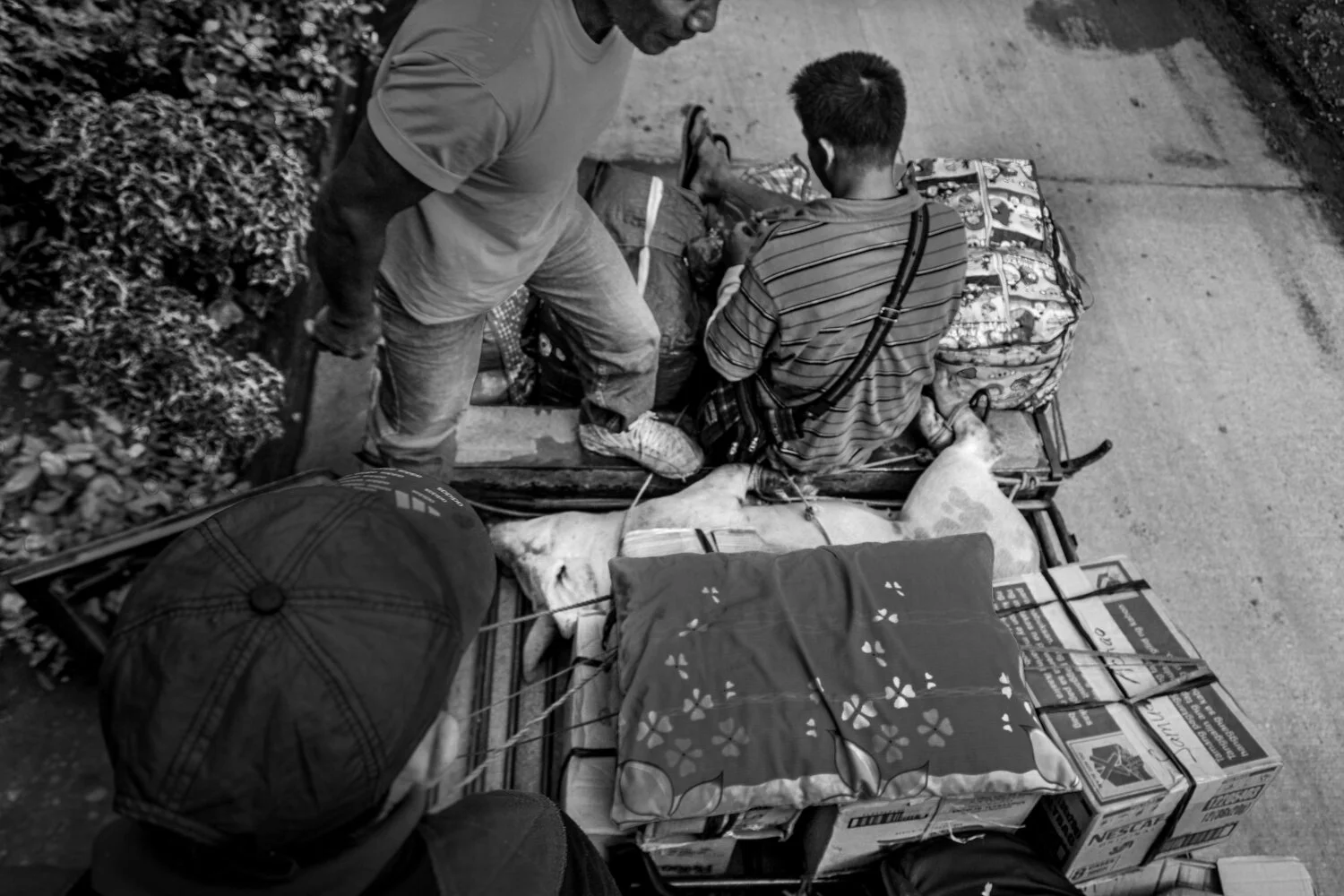 Sagada, Luzon, Philipenes - 23/12/2014  Goods for the remote villages in the Tinglayan area are stacked on a Dyipni (Jeepneys). Ony a few Dyipni’s a day venture out into the Tinglayan area to transport travellers and goods to the remote villages.  