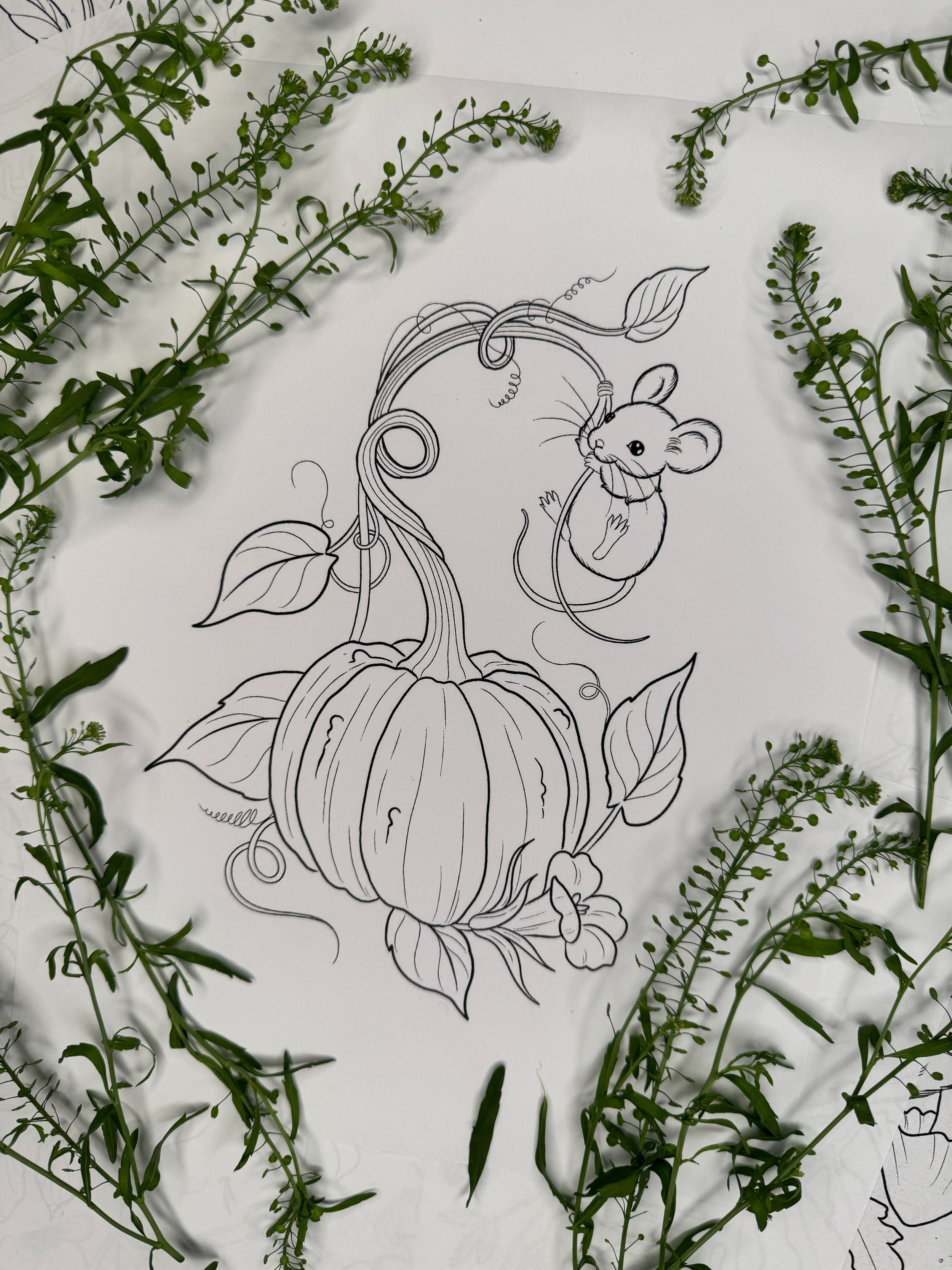 Mouse and Pumpkin