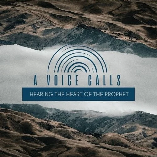 Copy of A VOICE CALLS.jpg