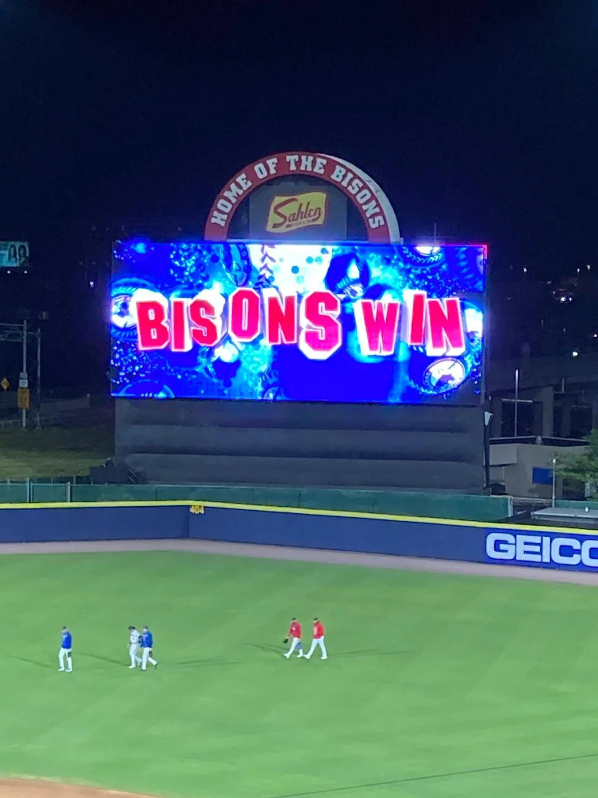 Bisons.jpg