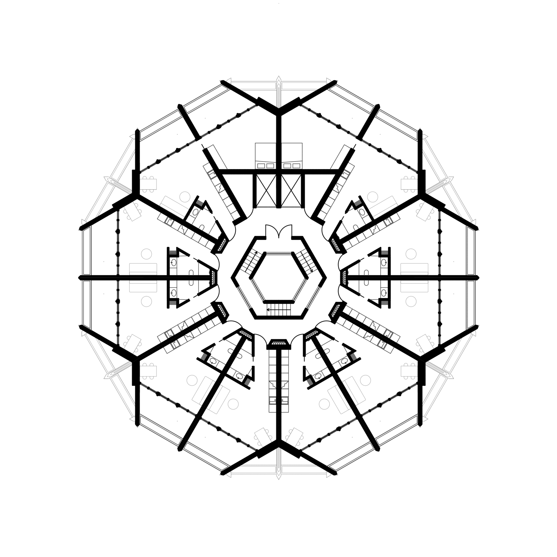 Radiolaria 