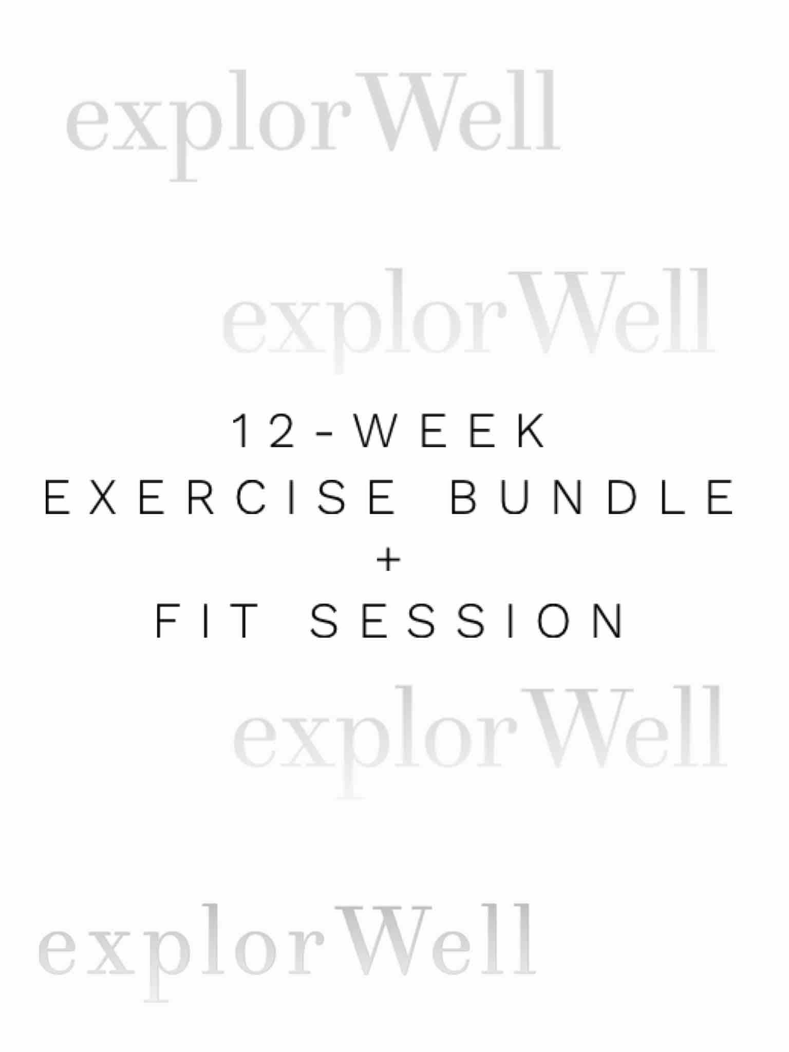 EXERCISE PROGRAM BUNDLE + FIT SESSION
