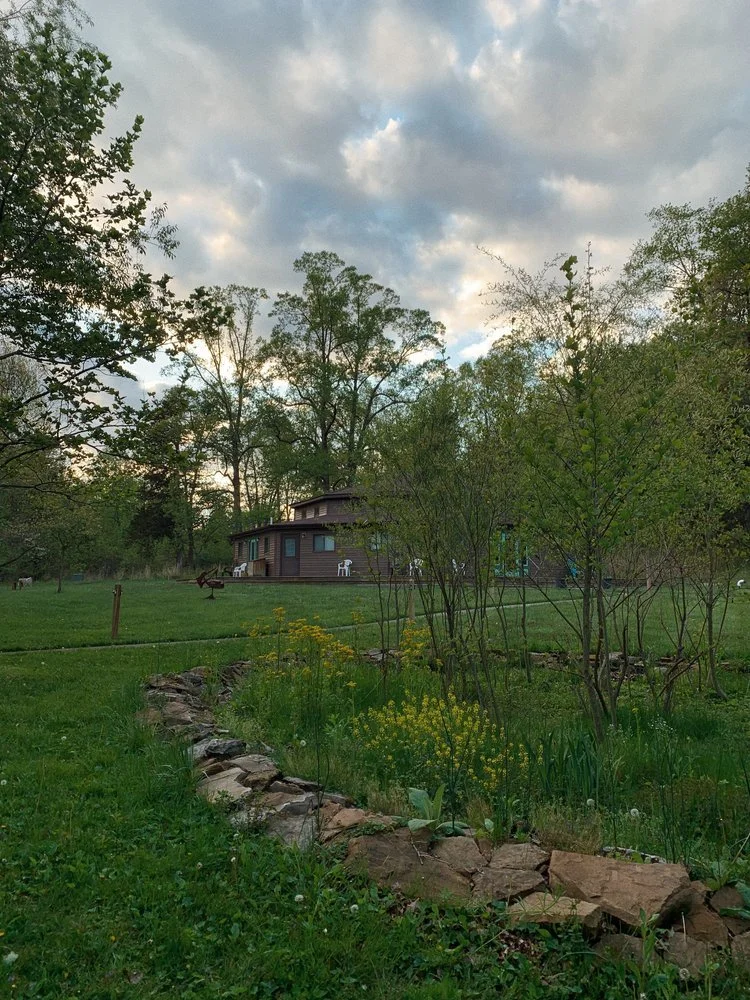 LODGE IN THE WOODS.jpeg