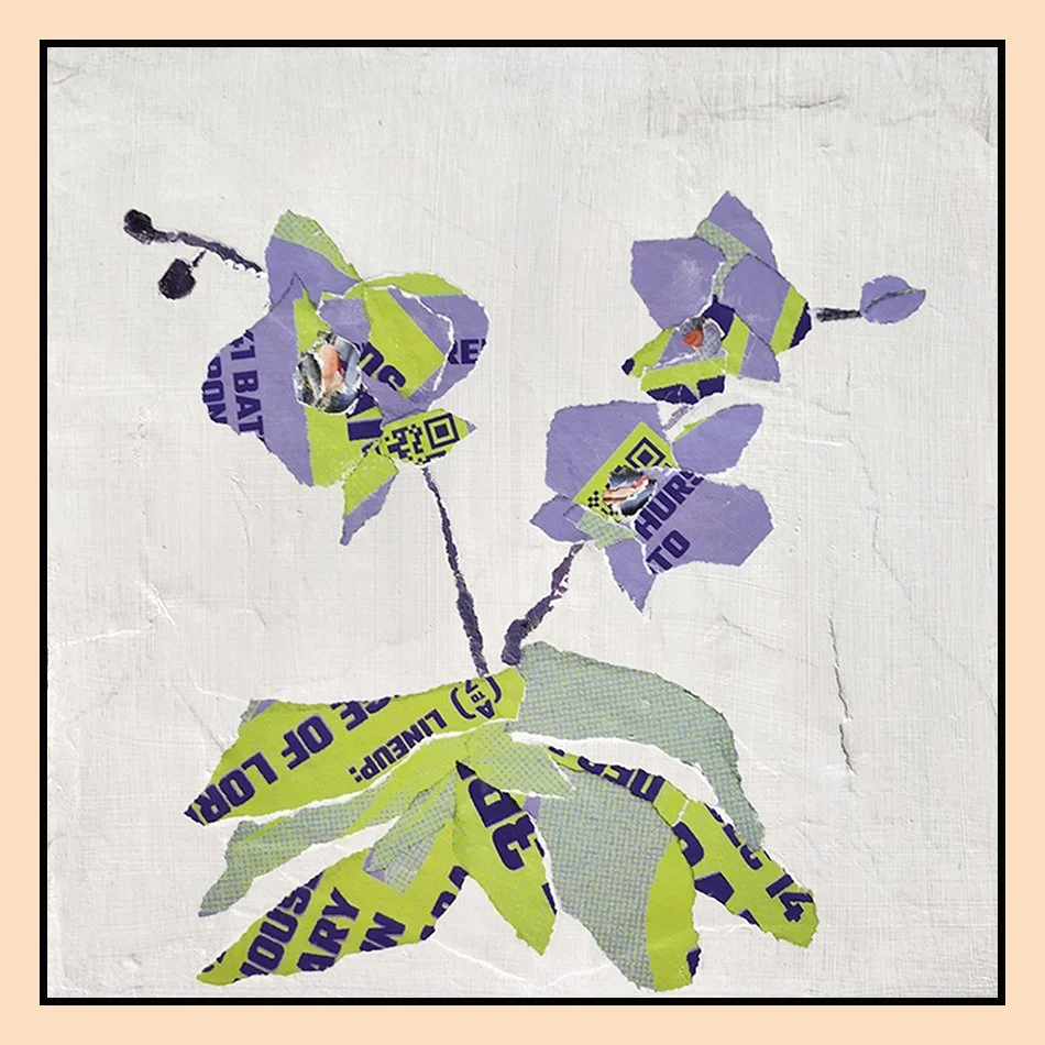 Urban Orchid Bloom II, 12" x 12", 2025