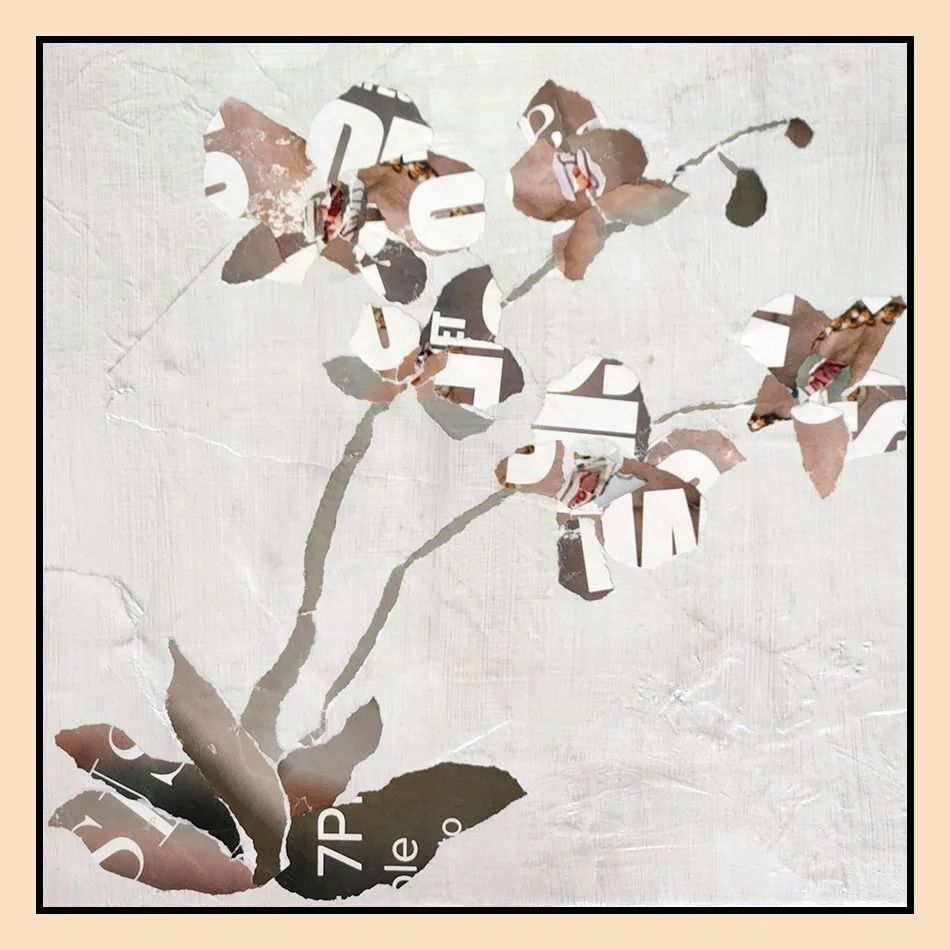 Urban Orchid Bloom III, 12" x 12", 2025