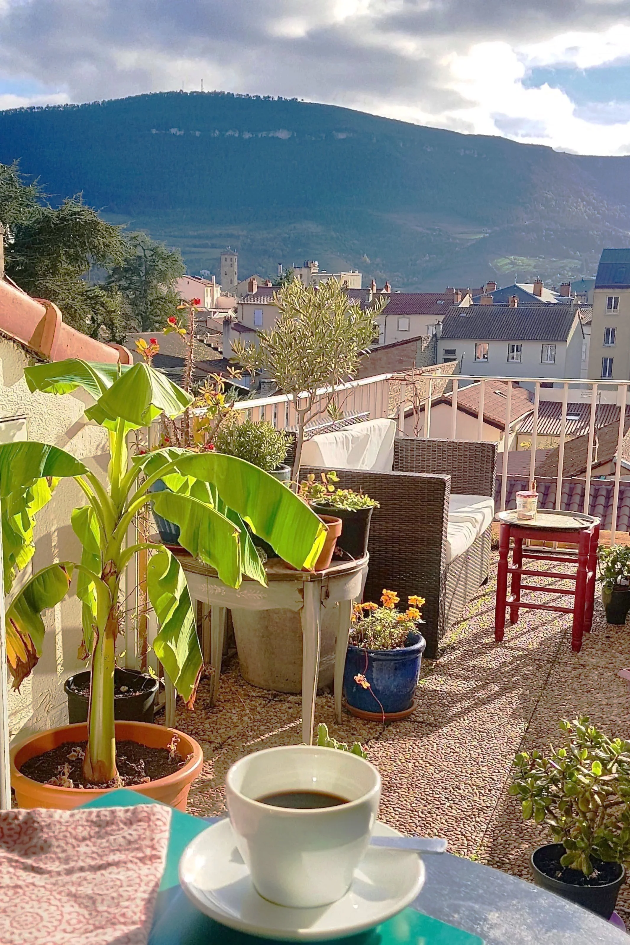 The Magical Mixture of the Senses and Gratitude