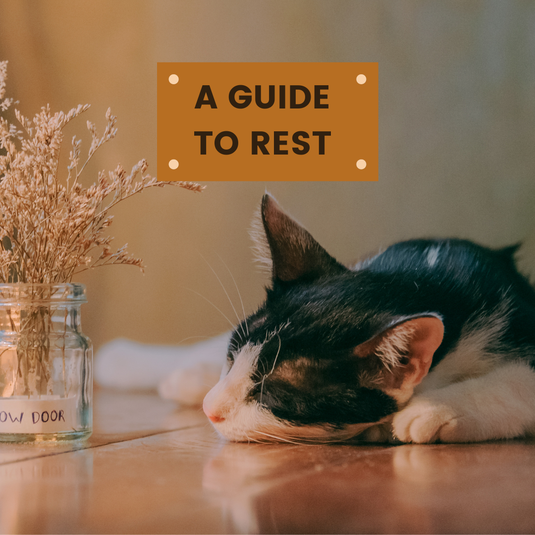 A Guide to Rest