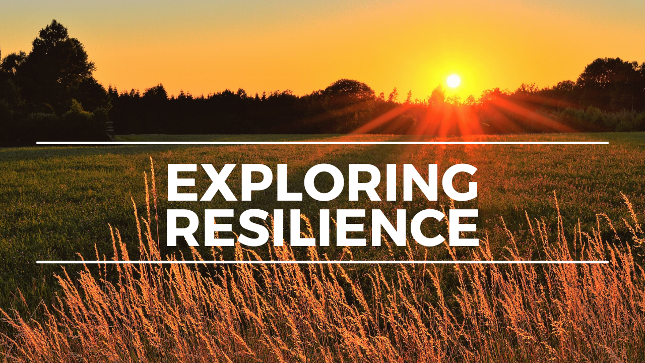 Exploring Resilience