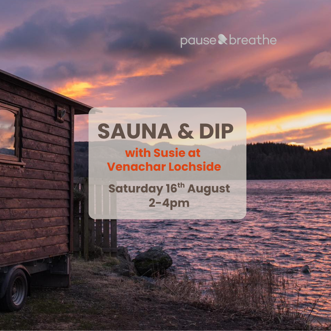 Sauna & Dip (Loch Venachar)