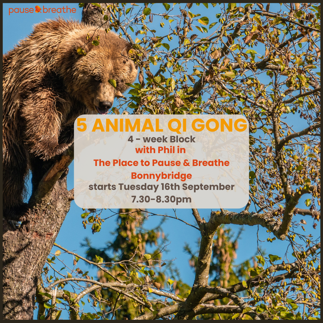 5 Animal Qi Gong: 4-Week Block - Bonnybridge