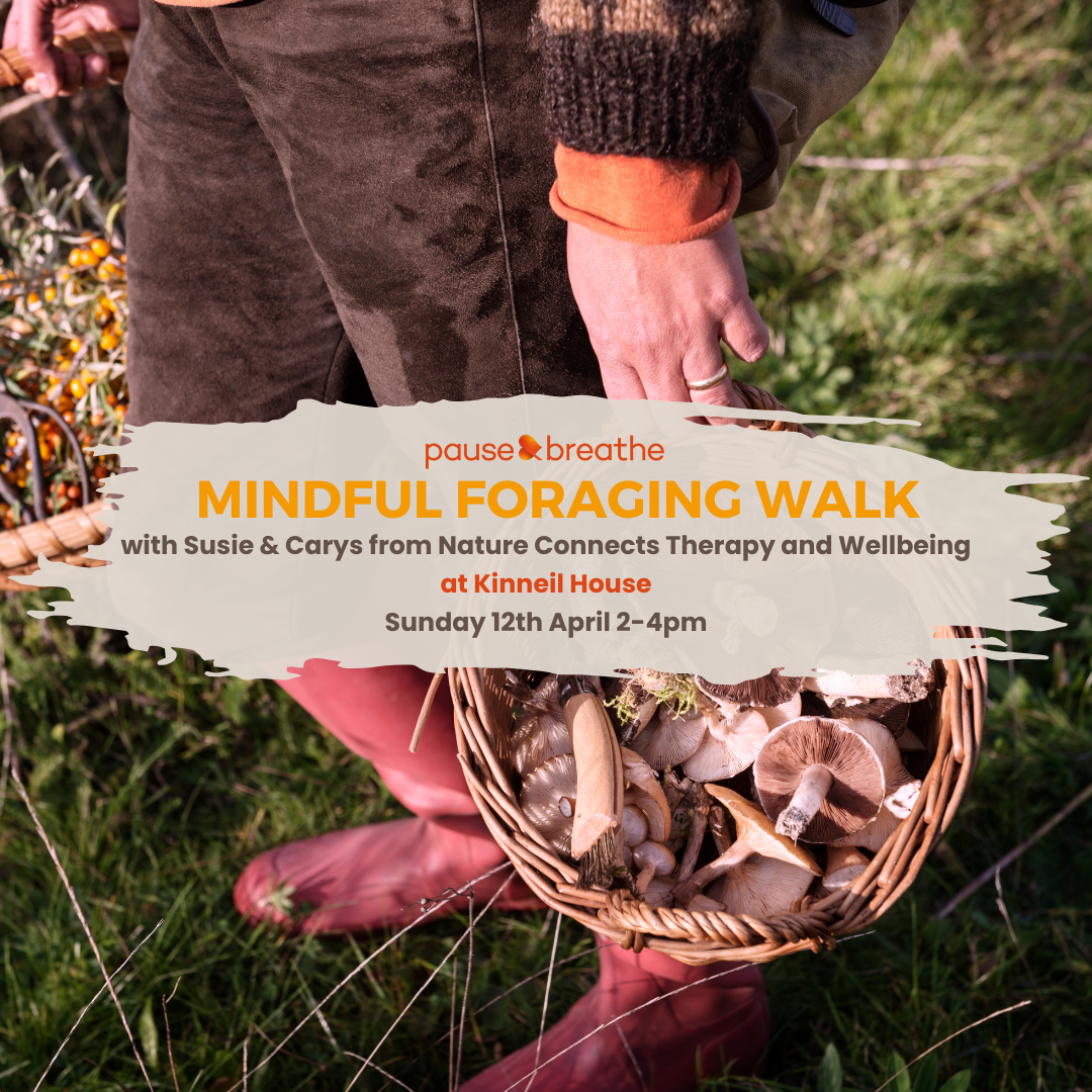 Mindfulness Foraging Walk: Kinneil Estate