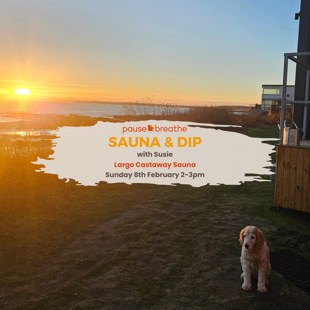 Sauna & Dip (Largo Castaway Sauna)