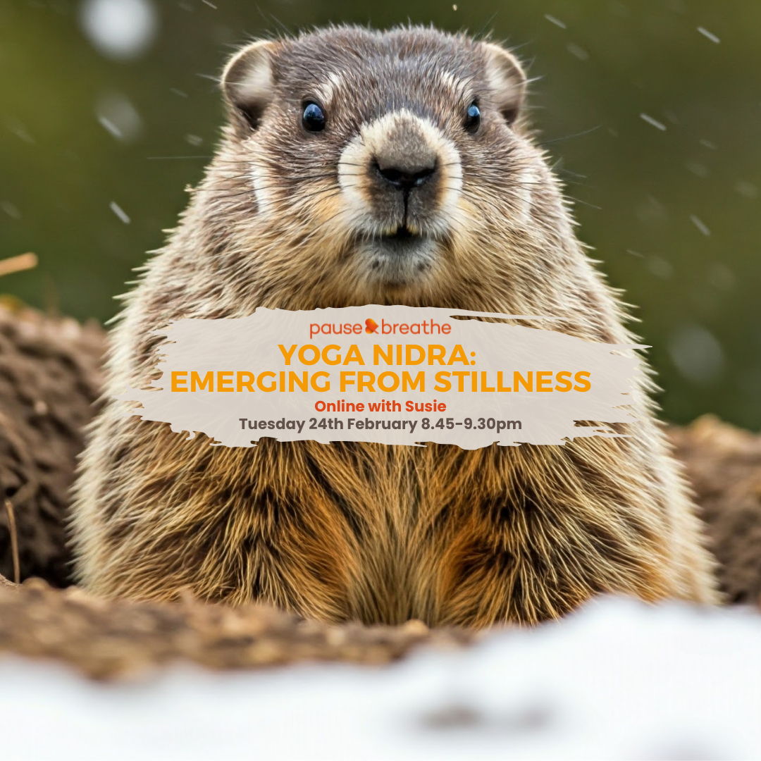 Emerging from Stillness Yoga Nidra - on Zoom