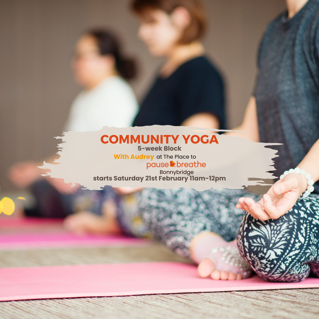 Community Yoga - 5-Week Block: Bonnybridge