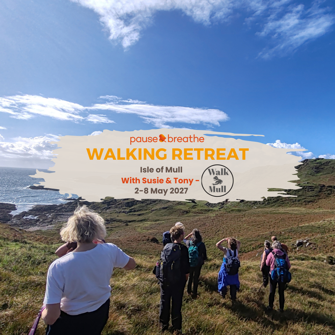 Isle of Mull Walking Retreat