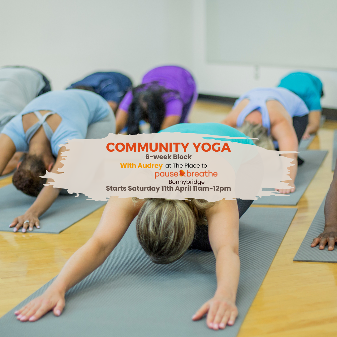 Community Yoga - 6-Week Block: Bonnybridge