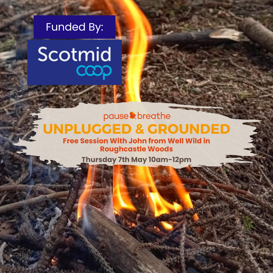 Unplugged & Grounded - FREE Session for Adults in Roughcastle Woods
