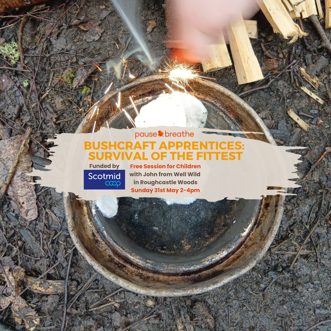 Bushcraft Apprentices: Survival of the Fittest - FREE Session for Kids in Roughcastle Woods