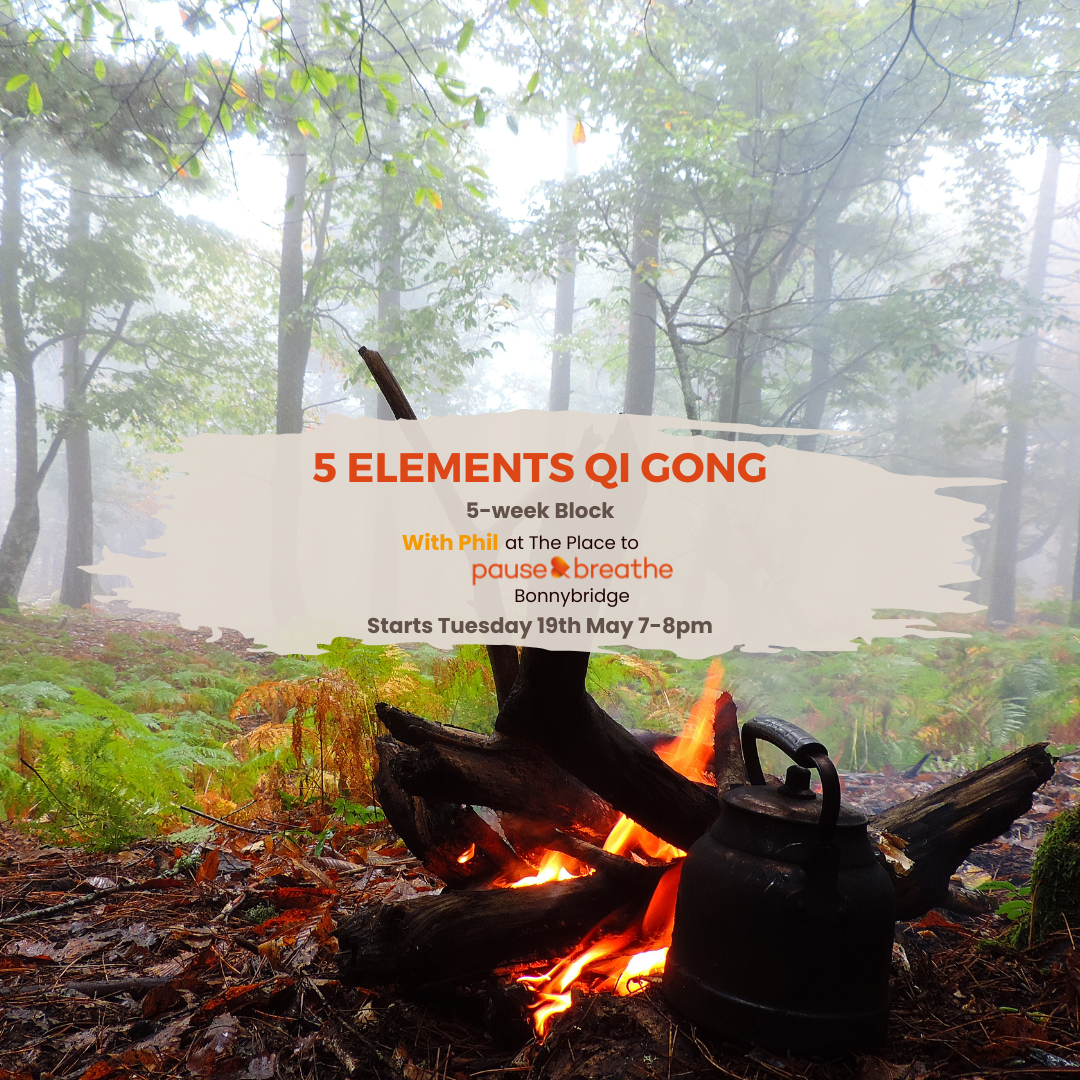 5 Element Qi Gong: 5-Week Block - Bonnybridge