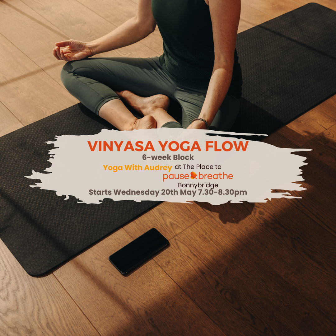 Vinyasa Yoga Flow - Yoga with Audrey - 6-week Block - Bonnybridge