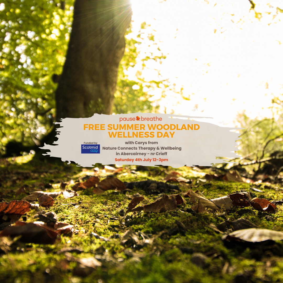 FREE Summer Woodland Wellness Day: near Crieff