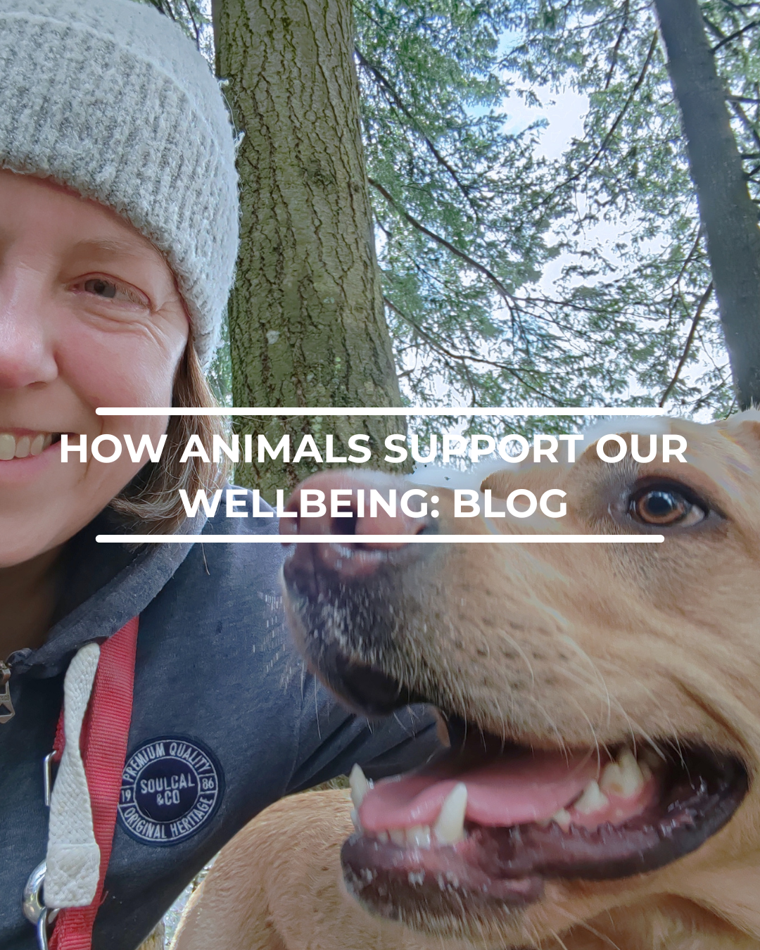 How Animals Support Our Wellbeing