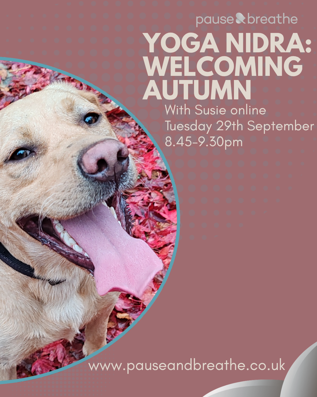 Yoga Nidra: Welcoming Autumn - on Zoom