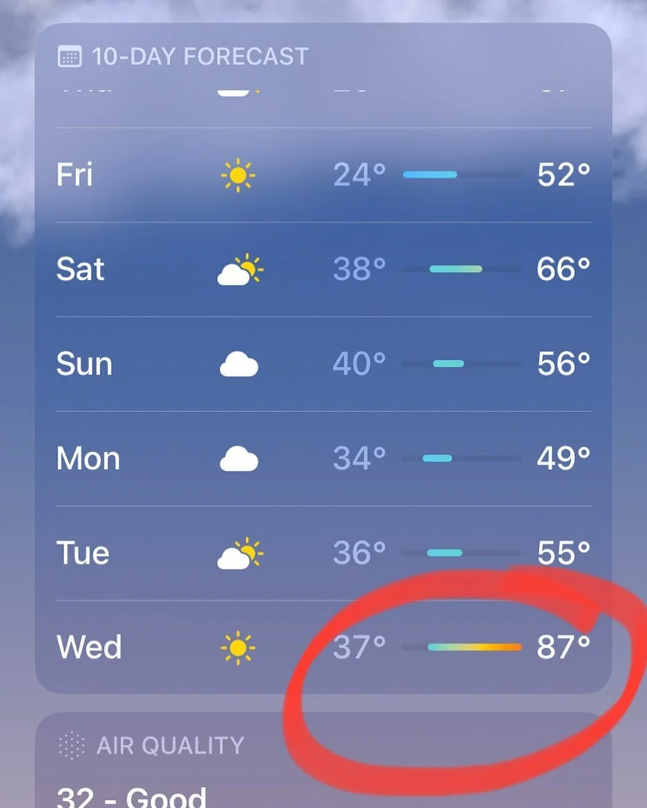 What?????