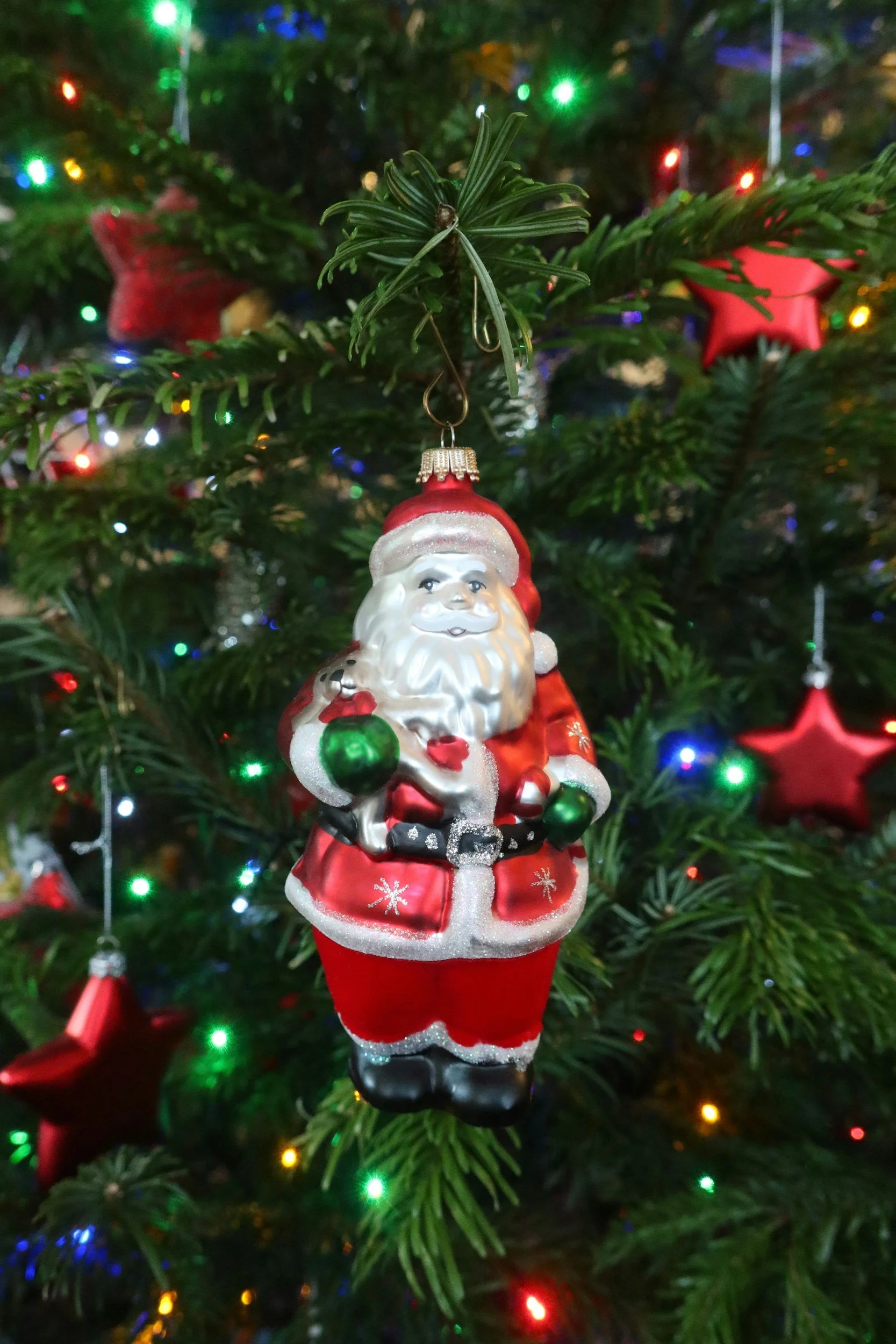 Brownella Lights Tours with Santa!