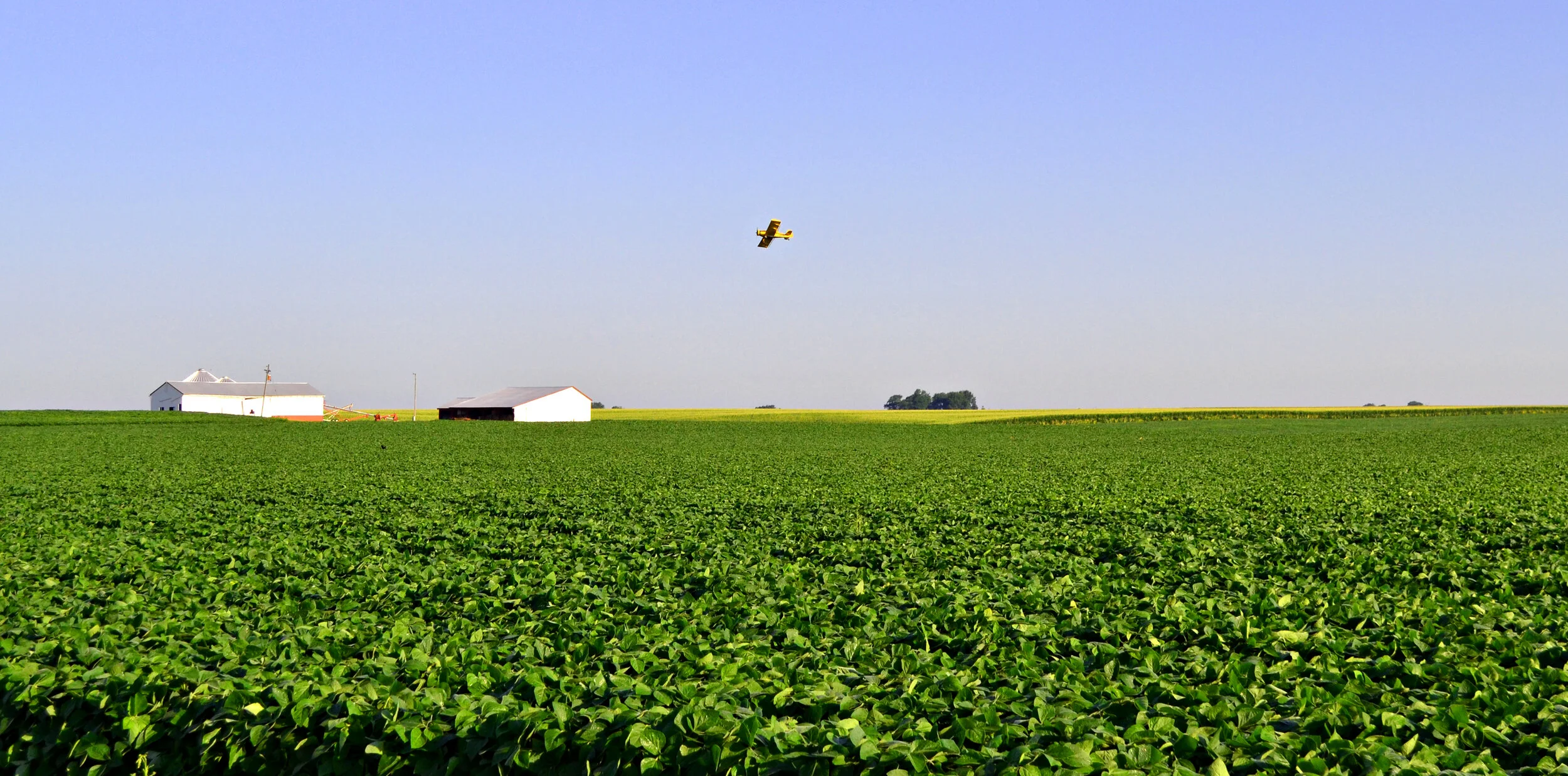 Crop Duster.jpg