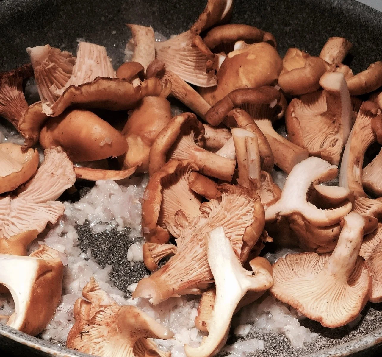 Episode 081 - Something for Everyone