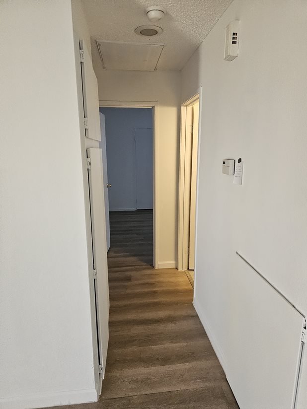 20231008_171633.jpg