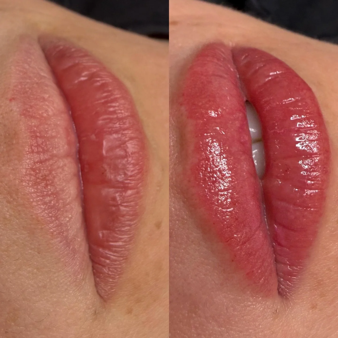 Lip Blush is a great way to add that tinted chapstick look that makes your lips look fuller and more balanced without the makeup. 

www.MotherOfBlades.com 
#permanentcosmetics 
#electrumcleanse 
#hushanesthetic 
#permablendpigments 
#finelinestudiopm