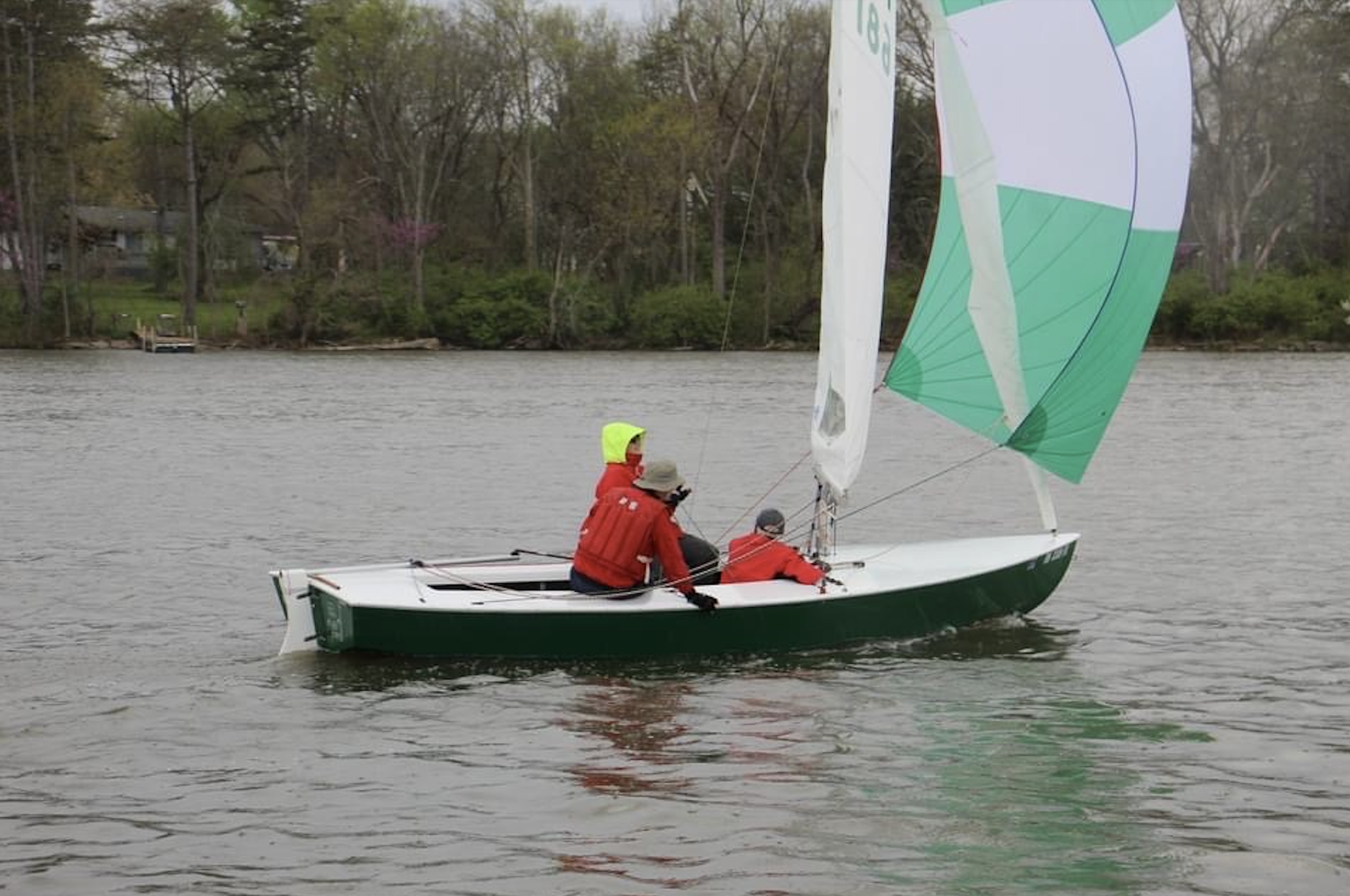 Racing in the Rain