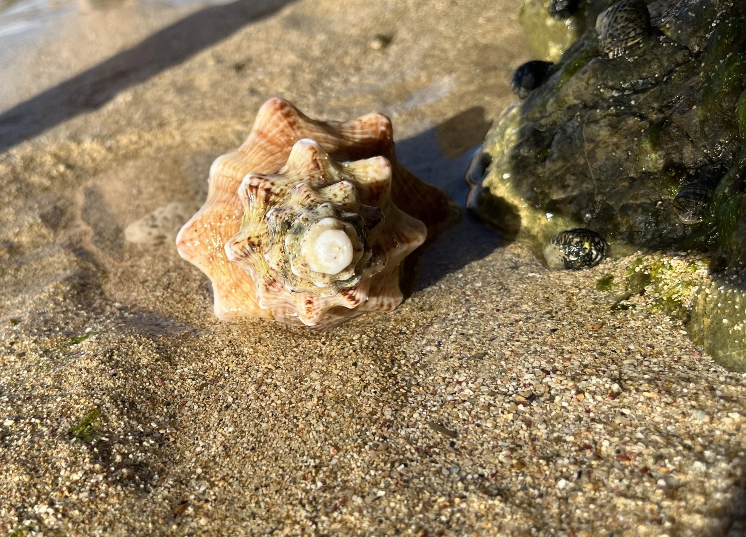 New Year, New Adventure - Part 3 of 5