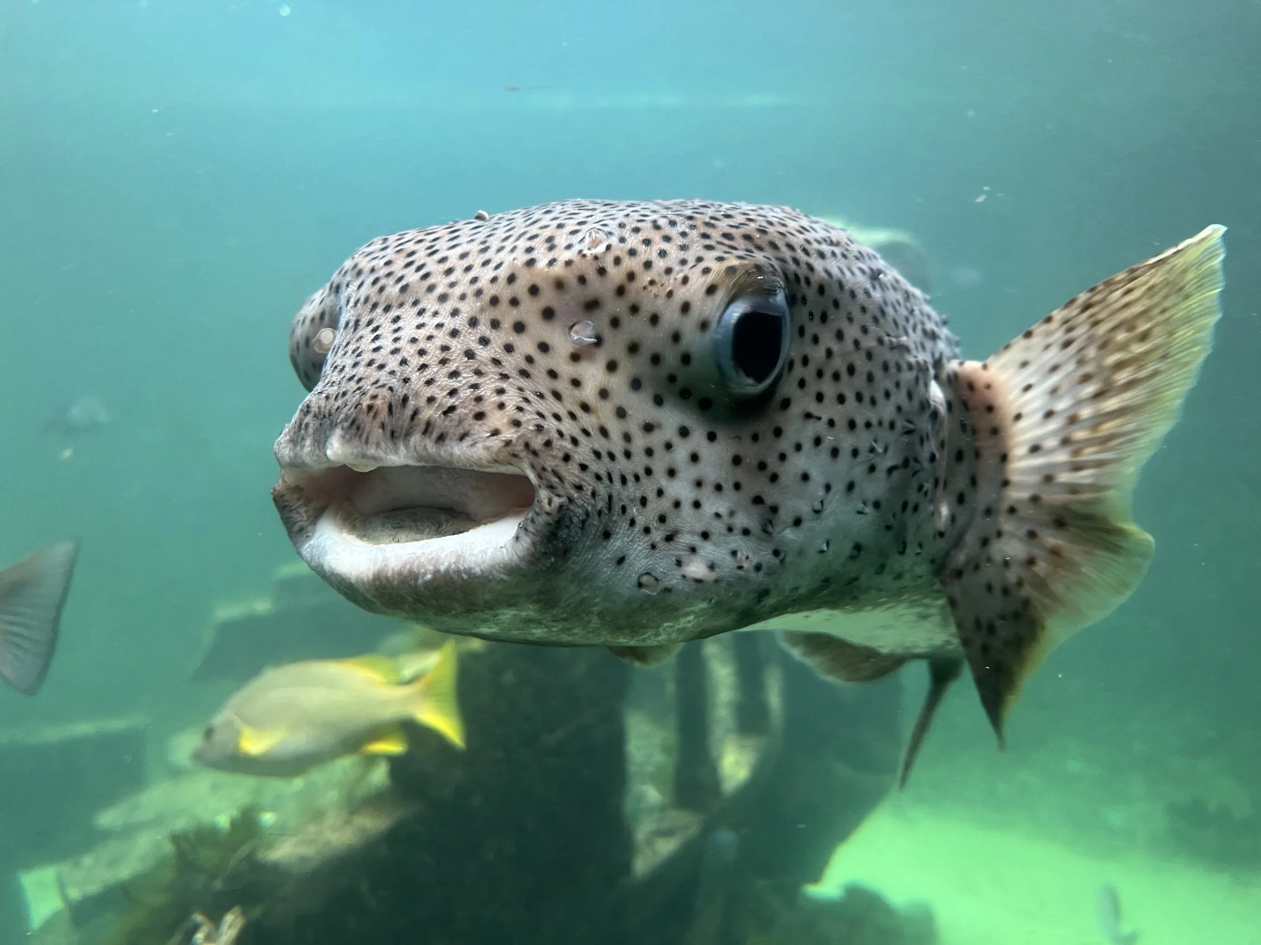 New Year, New Adventure - Part 4 of 5