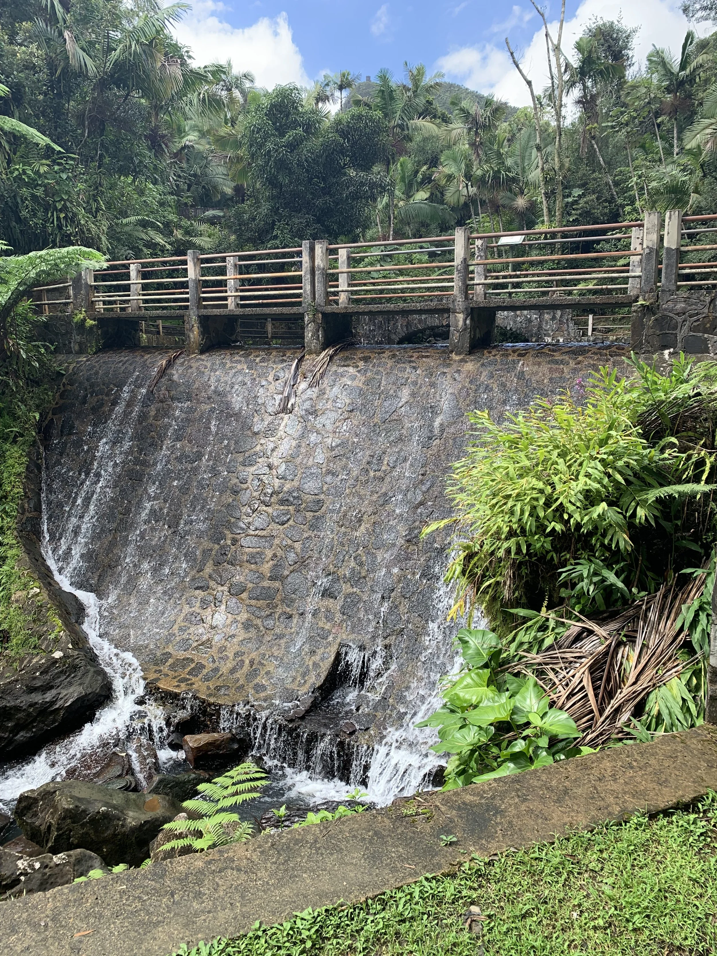 New Year, New Adventure- Part 5 of 5