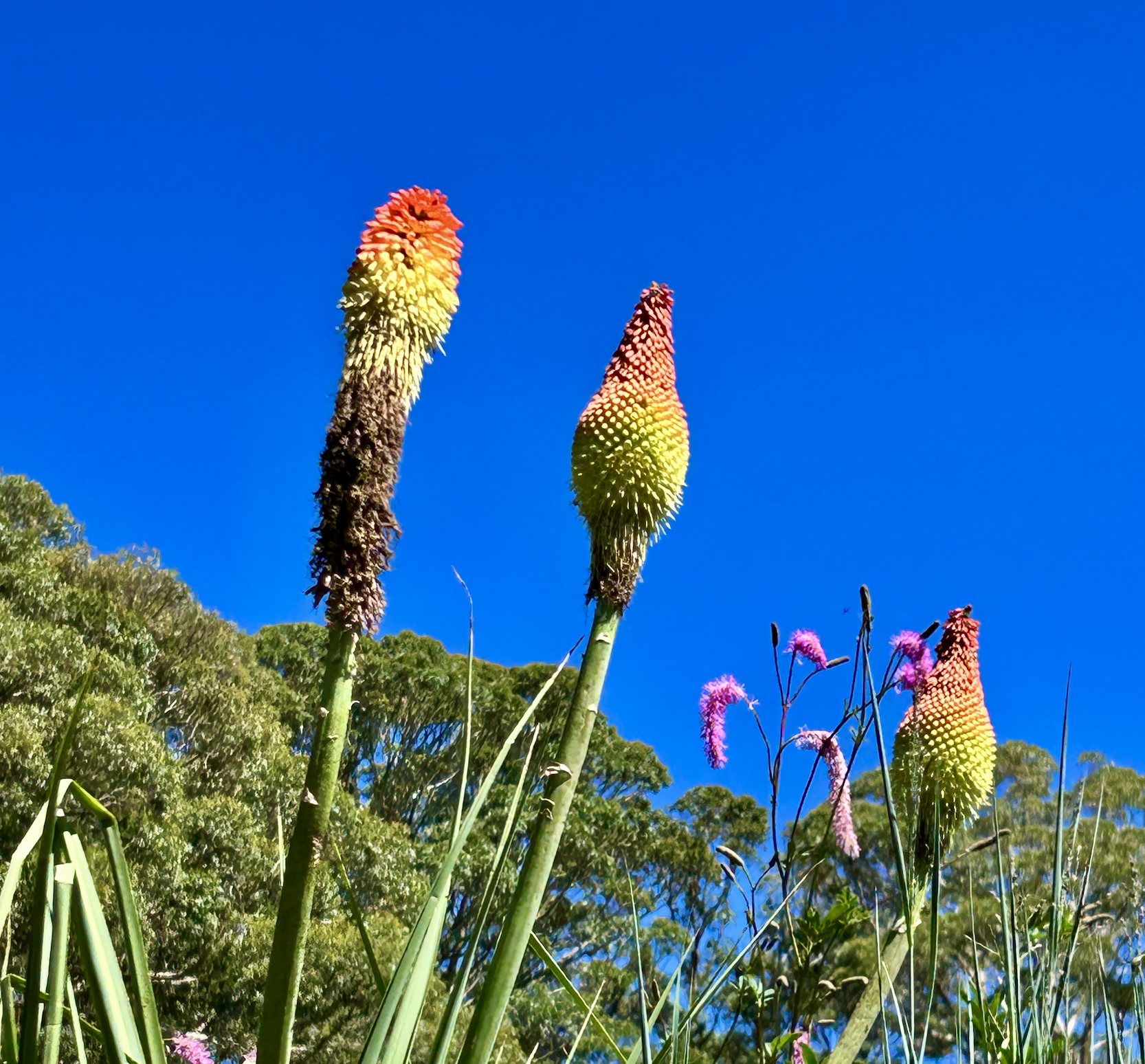 New Year, New Adventure: Part 4