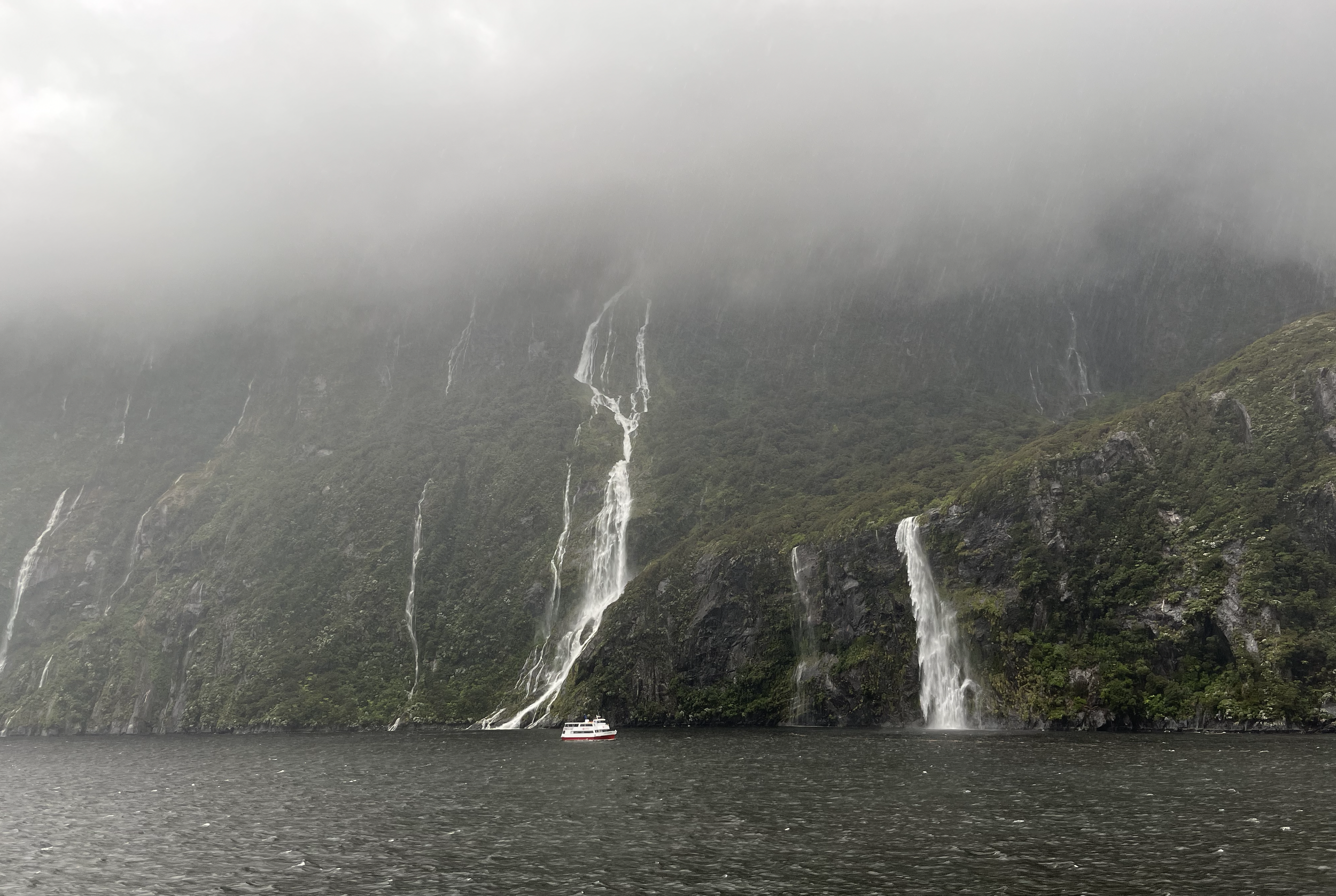 New Year, New Adventure: Part 5