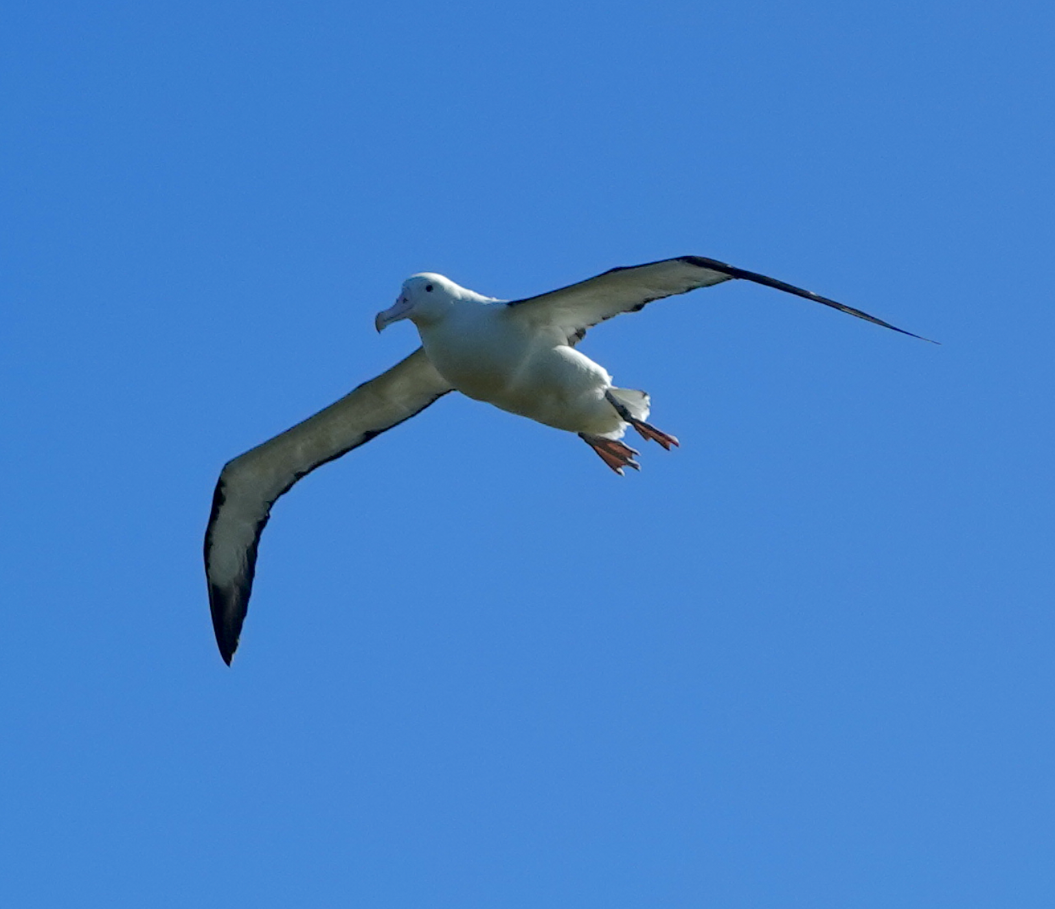 New Year, New Adventure: Part 6