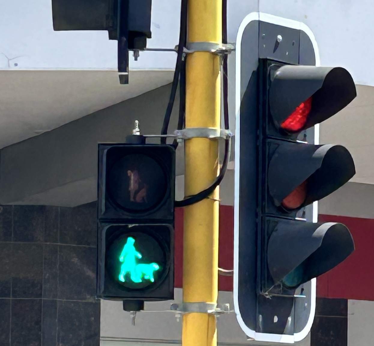 New Year, New Adventure: Part 10 of 13