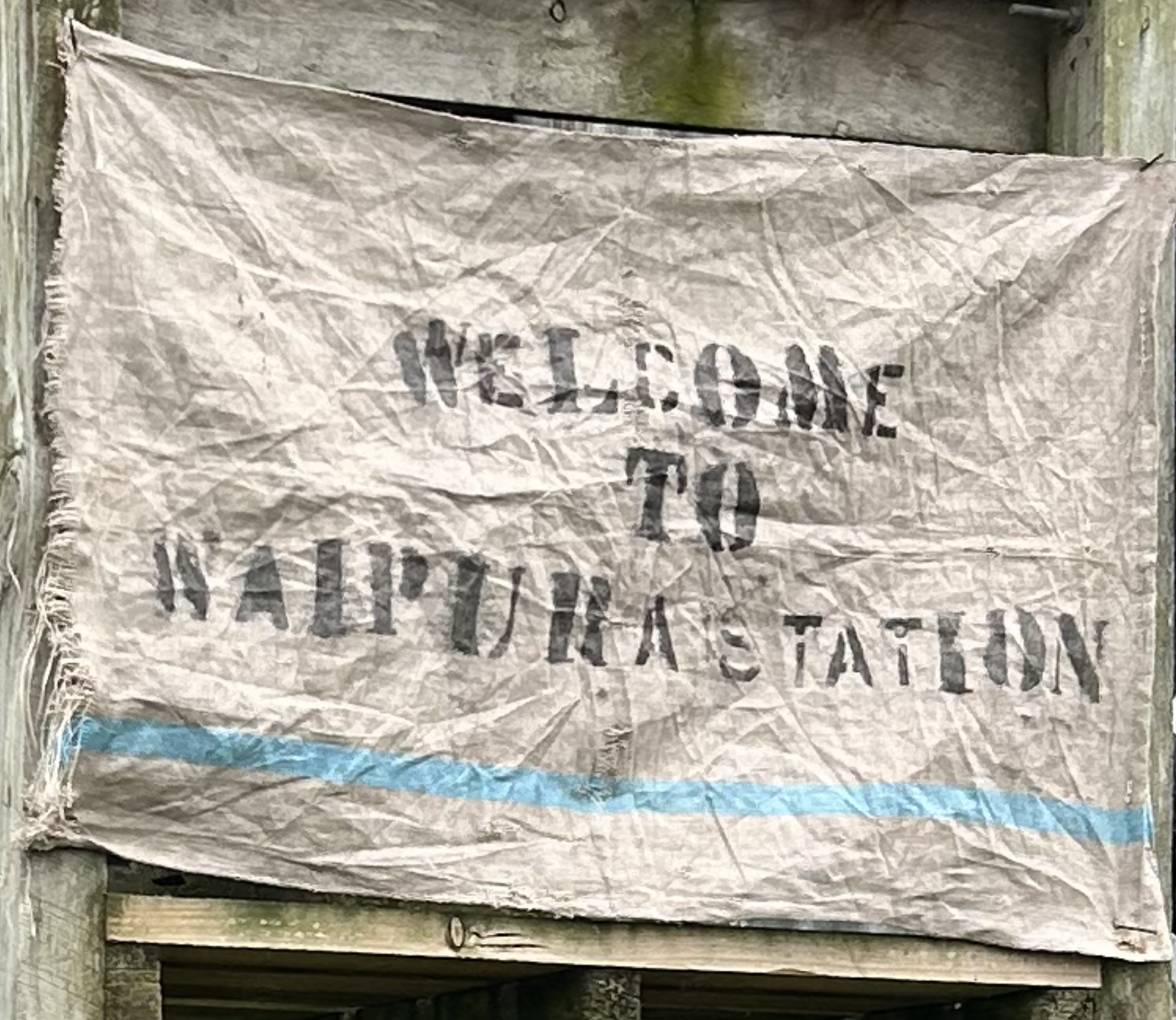 New Year, New Adventure: Part 11 of 13